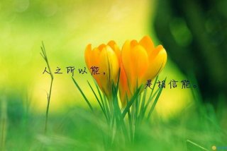 励志图片学生壁纸（励志图片学生壁纸高清）