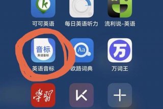 官方免费学英语软件（真正免费学英语app软件）