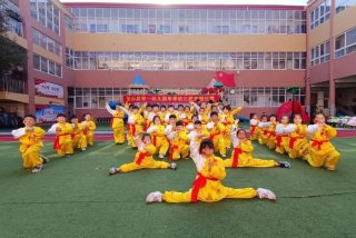 国学武术操、国学武术操视频幼儿园