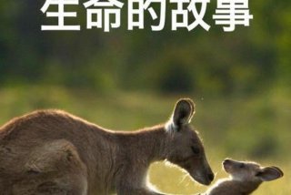 学习生物必看的纪录片、有关生物的纪录片有哪些
