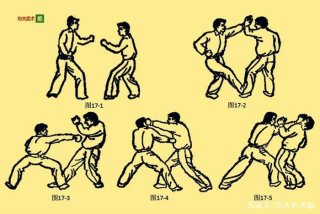 散打培训班、散打10个基本动作