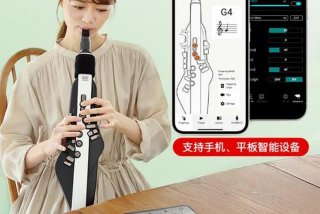 免费在线学习电吹管、电吹管在哪里学