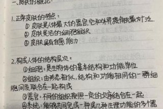 皮肤管理的课程，皮肤管理的课程的总结