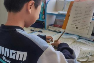 孩子在家学习状况怎样写