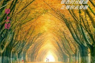 意义学习强调学习内容与个人之间的关系。；意义学习强调学习内容与个人之间的关系.