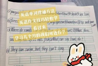 学英语的技巧 学英语的技巧的英文作文