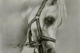 学素描的好处和重要性，学素描的好处和重要性百科