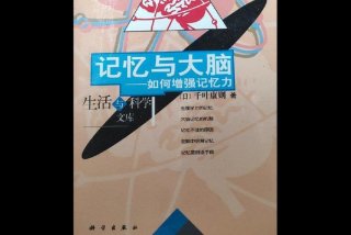 如何提高记忆力和专注力，如何提高记忆力和专注力的书