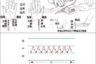 学中医如何入门；学中医如何入门把脉