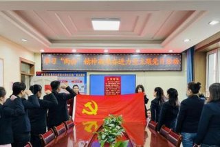 学习两会精神主题党日；两会精神 主题党日