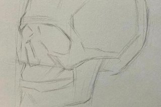 素描学的过程包括哪些、素描学的过程是从基础到