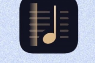 学习乐理知识的app（有没有学乐理知识的软件）