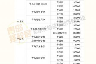 青岛中学国际部，青岛中学国际部学费
