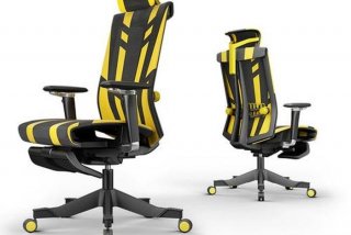 学习椅子推荐人体工学椅（人体工学椅 性价比）