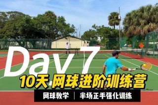 网球教学视频入门教程；网球教学视频入门教程下载