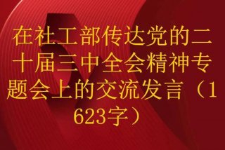 传达学习文件精神；传达文件精神报告