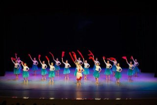 跳舞学校哪个学校最好大学、跳舞学校有哪些