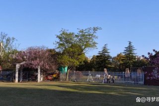 去茂名学习手艺（茂名哪里可以学花艺）