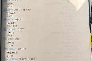 小语种口语网下载 小语种口语网免费