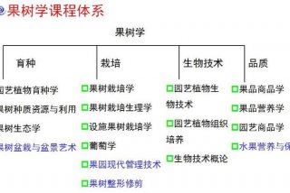 园林学课程 - 园林专业所学课程