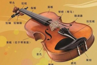 最难学的乐器；最难学的乐器是哪一种