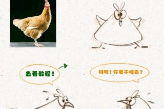 学习画画入门教程 - 学画画基本步骤