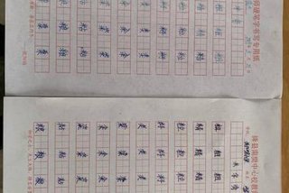 要好好学写字，要好好学写字的阅读题