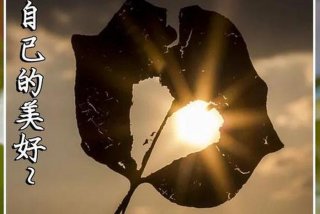 好好学习天天向上英文翻译，好好学习天天向上用英语怎么说