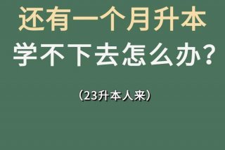 怎样才能学下去、怎么才能学下去