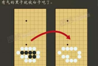 免费学围棋视频教程、学围棋视频教程全集免费观看