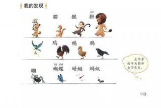 学习猫教汉字全集，我想学猫猫识字