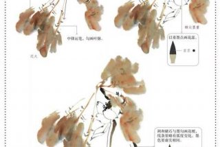 国画入门初学技巧自学（国画入门自学教程）