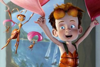 幼儿园大班学习动画片，幼儿园大班动画电影