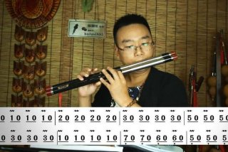 学习巴乌零基础教学 巴乌教程视频教学视频