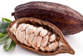 可可英语学习哪个板块；可可英语好用吗