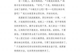 学做饭的作文800字（学做饭的作文800字(放假期间)）