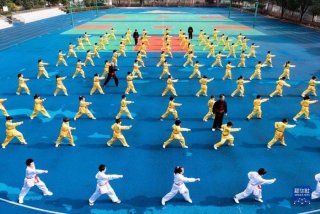 学习拳法 - 拳法自学什么比较好