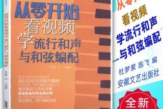 学习了解音乐 - 学音乐的基本知识的视频