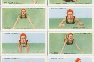 学游泳的技术 - 学游泳的几个基本步骤