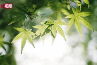 视频拍摄学习班 想学视频拍摄