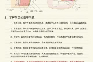 美甲学习都学习哪些内容、学美甲的基本知识