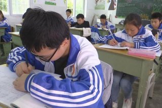 图片学习很苦 苦学的照片