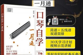 零基础学口琴视频教程；零基础学口琴视频教程大全