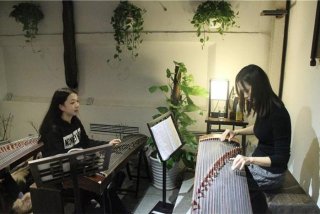 古筝学习成人 古筝成人教学