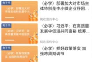 学习兴税电脑版官方下载