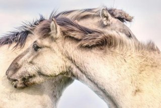 图片学习法 - 怎样学好图片