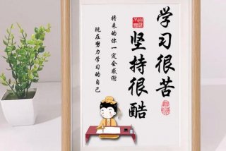 学习的样子很苦努力的样子很酷