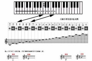 学口琴最简单的方法 口琴入门零基础教程视频