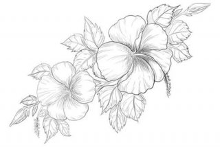 如何学习手绘板画画 初学者手绘板