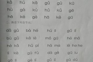 拼音学习视频教学（拼音学拼音视频）